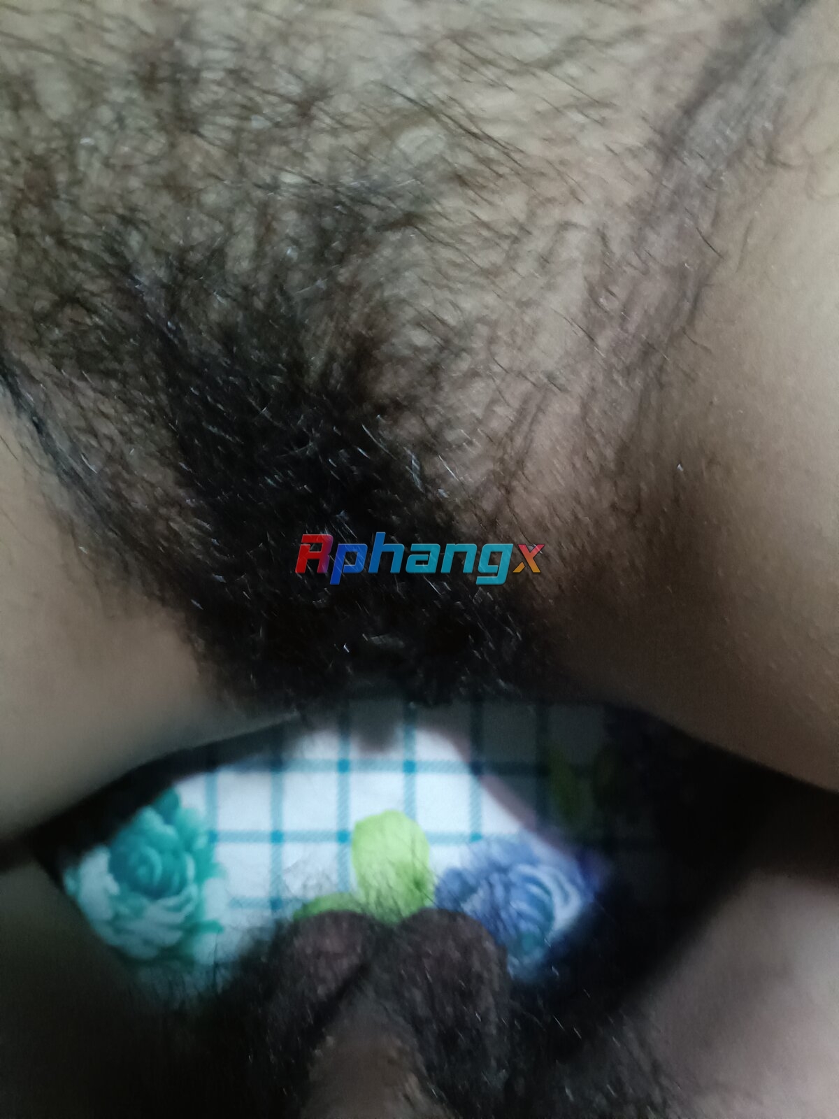 IMG20230110205001.jpg