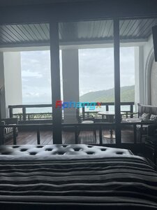 DF1FF753-F64B-4081-A1CB-E6E9DC6A4ED7.jpeg