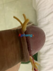BE96B485-7BD2-45FE-B9A4-11FD62D36B2D.jpeg