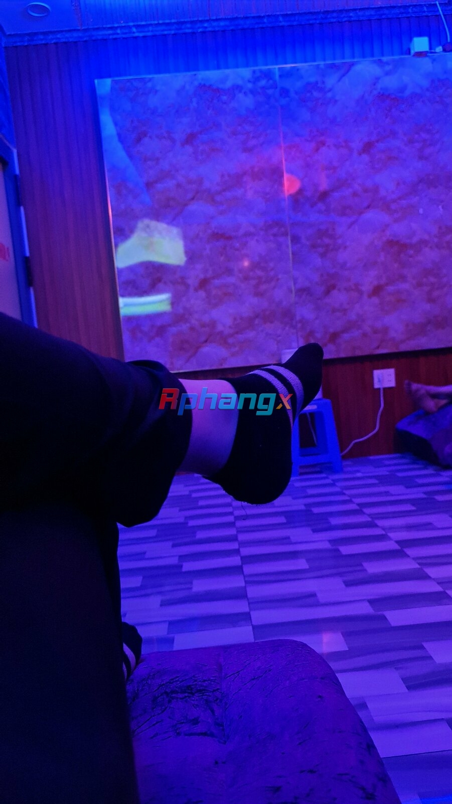 IMG_20230212_174856.jpg