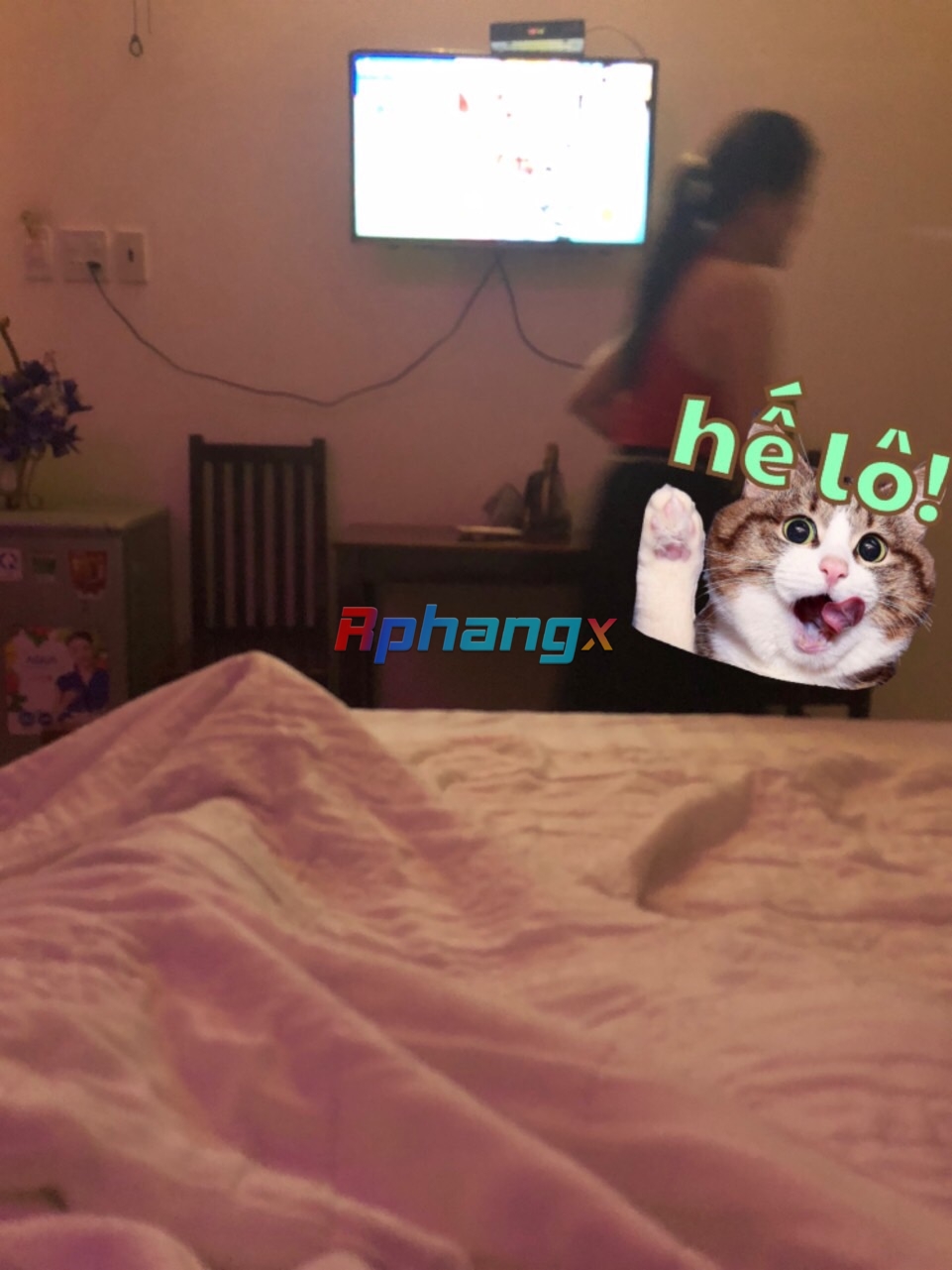 A0CF6BDB-4311-488B-B684-C39AD3C8CE99.jpeg