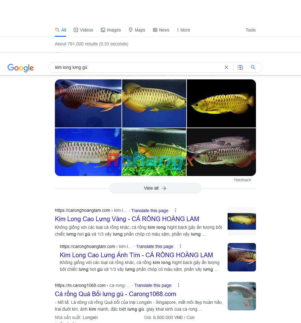 1677976661347.png