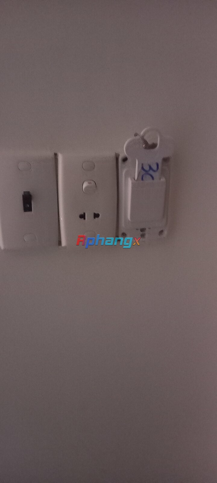 20230310_134123.jpg