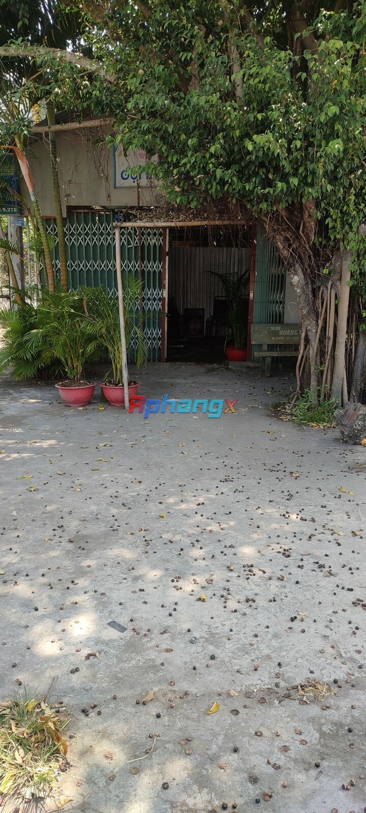 IMG_20230316_101259.jpg