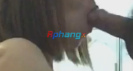 1680445906420.png