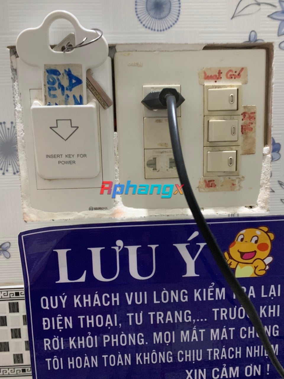 a151d9e468e9b4b7edf8.jpg