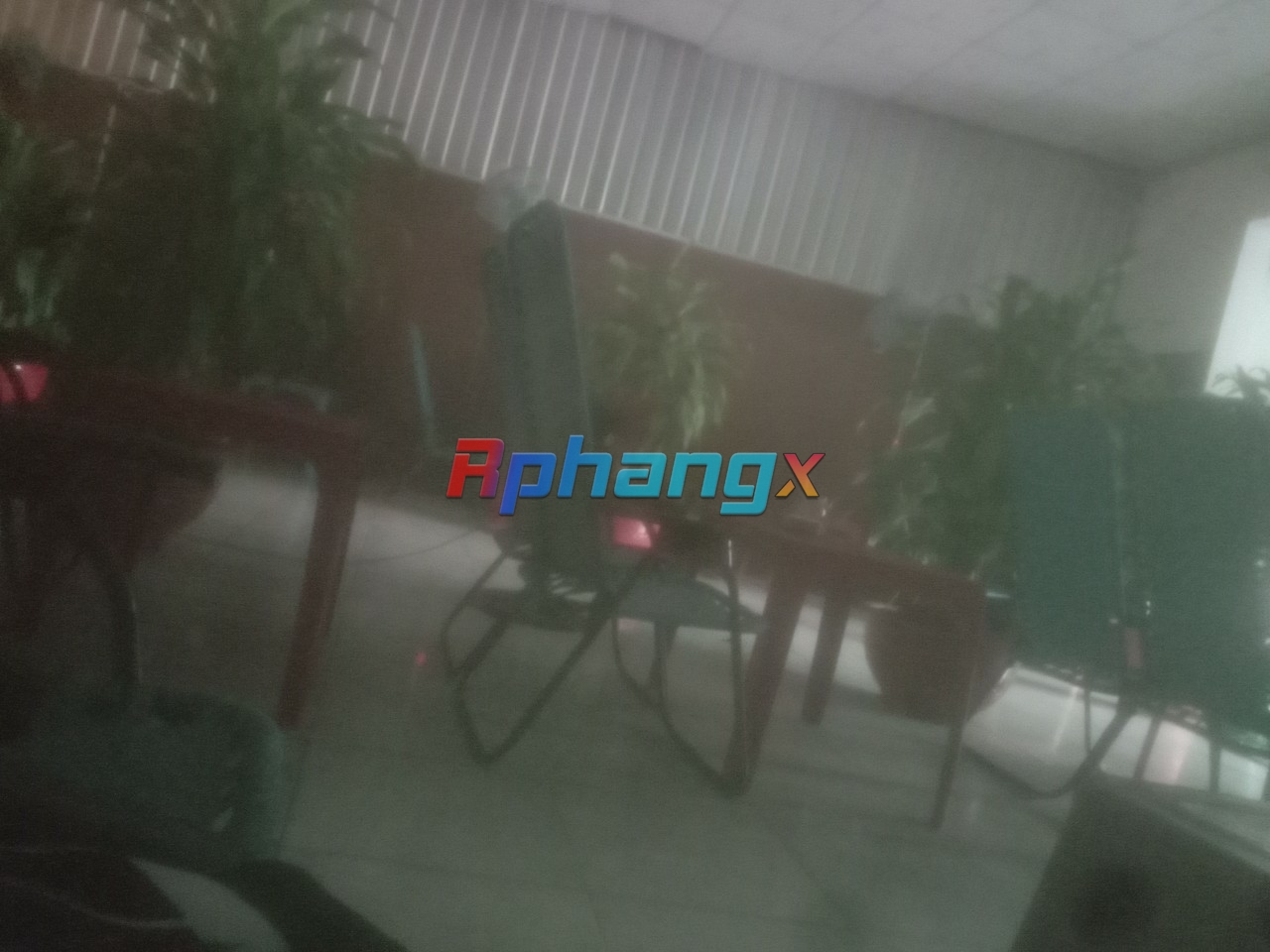 IMG_20230408_165536.jpg