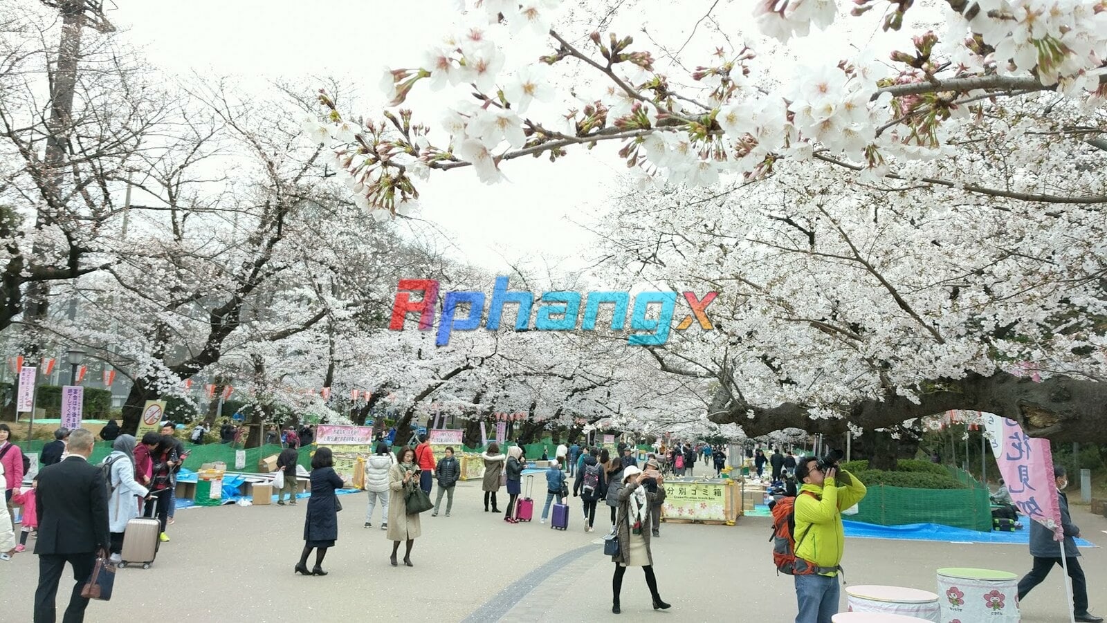 Ueno_Park_IMG_20190329_085310.jpg
