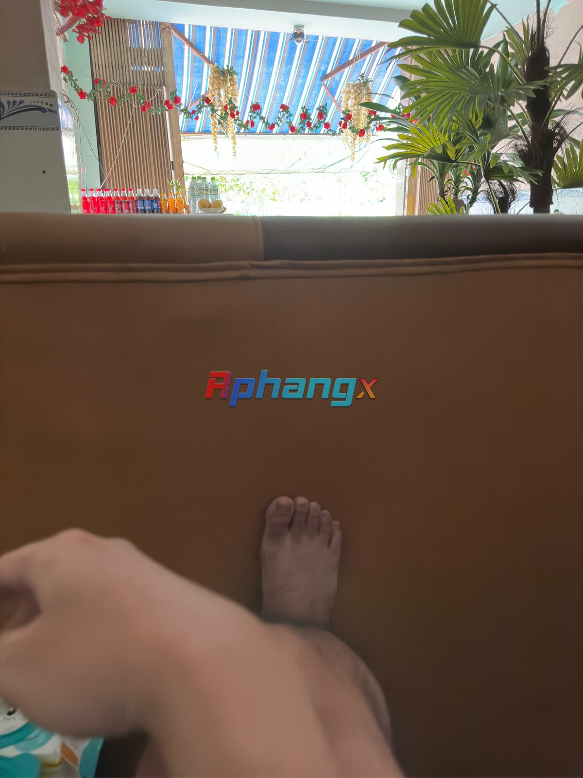 66E2F921-96AF-48B9-B7F8-2544FE02D2DB.jpeg