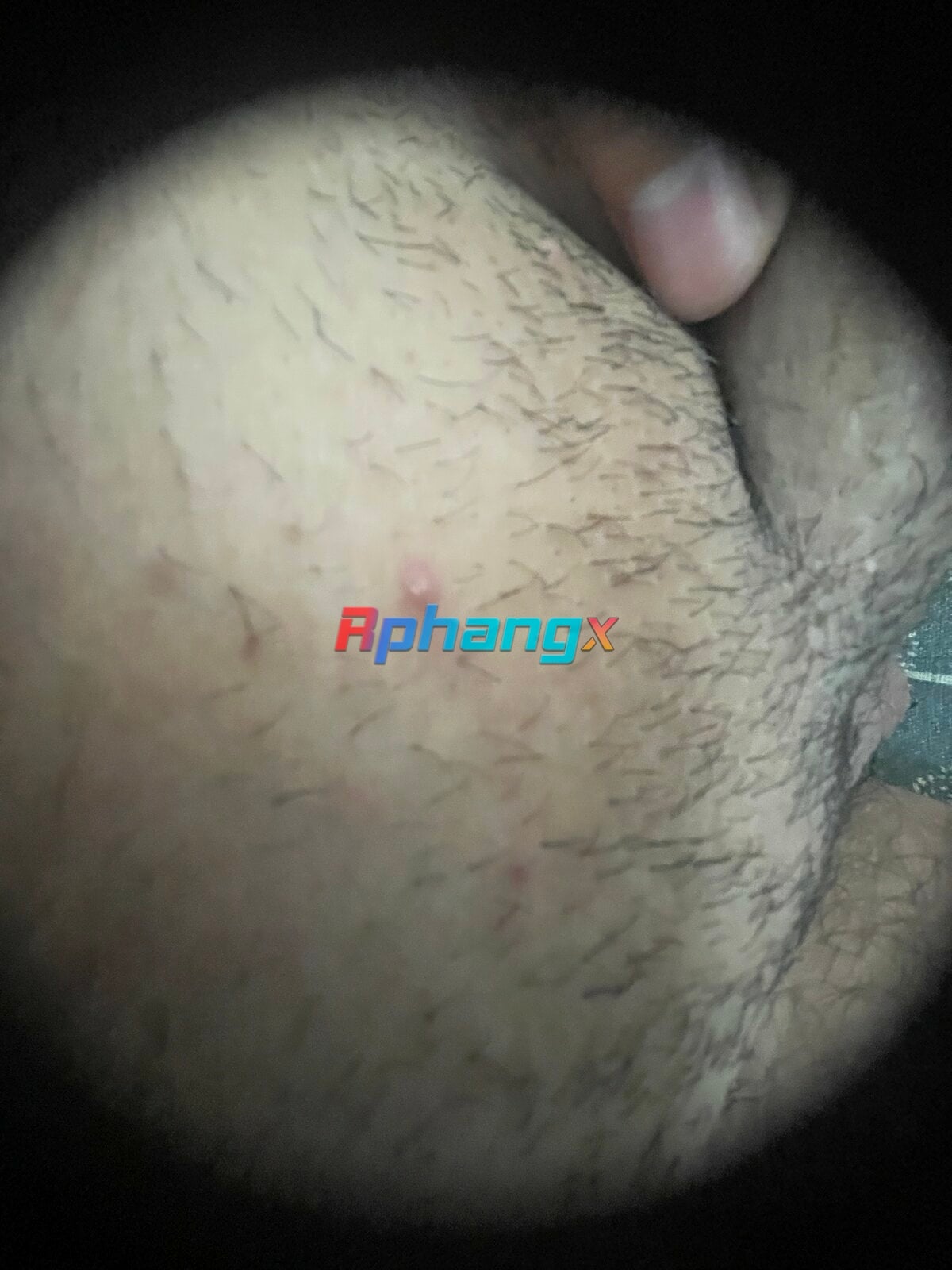 3120A27D-9BED-49A8-BBDF-FCA2BCD12E98.jpeg