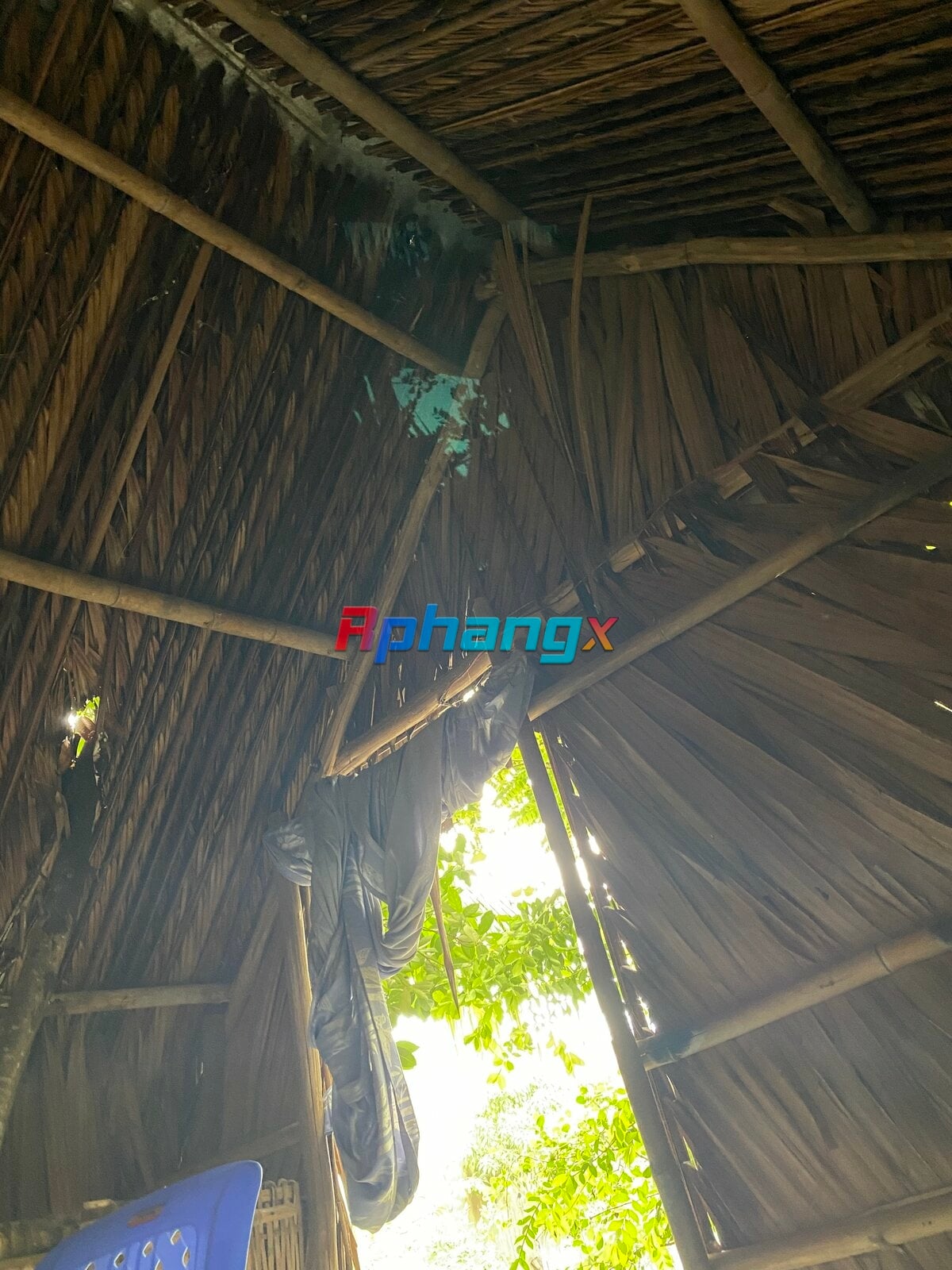2BF1A3E5-05B2-4870-A078-2C805AD59462.jpeg