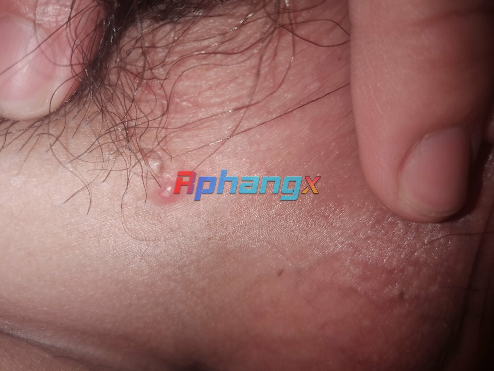 IMG20230531000110.jpg
