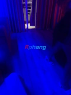 IMG_0989.jpeg