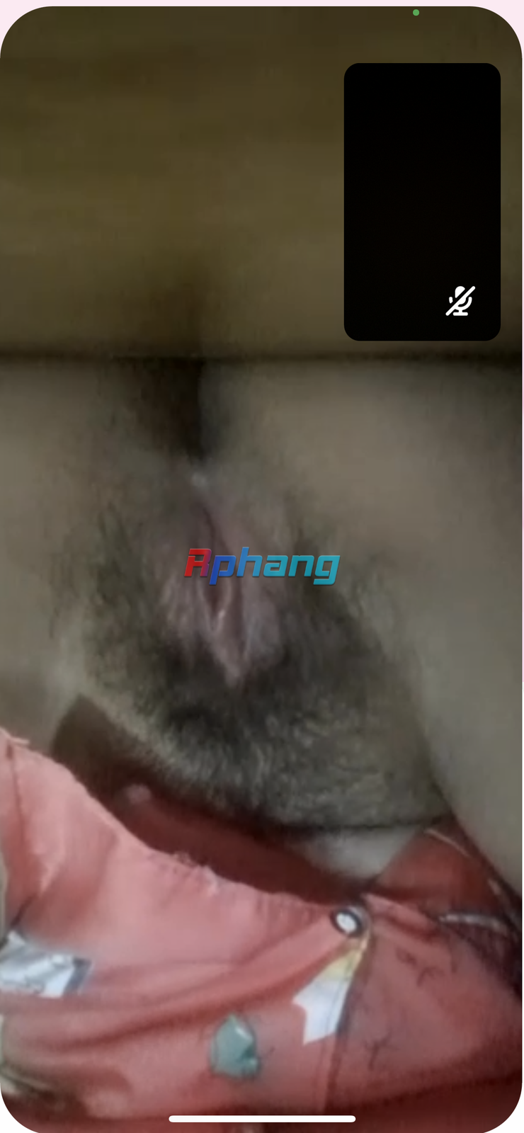 IMG_3334.png