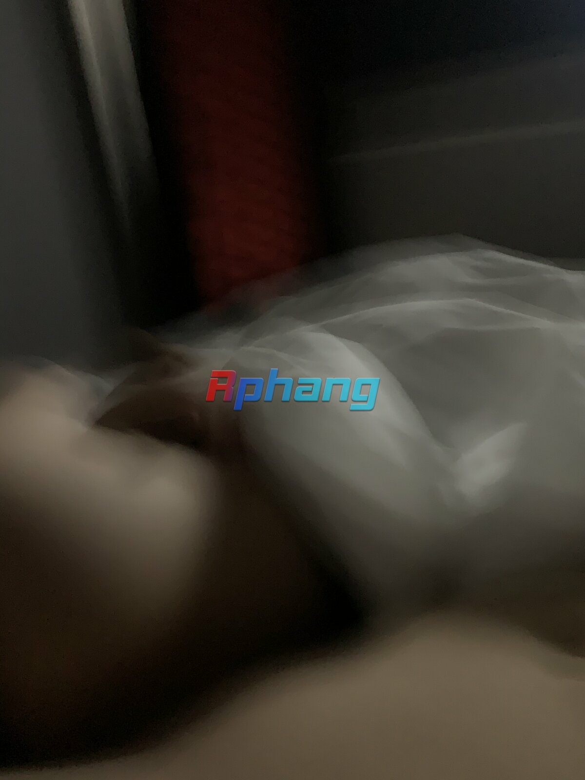 53DE0B22-5B0F-4376-B78A-1EB044F61858.jpeg