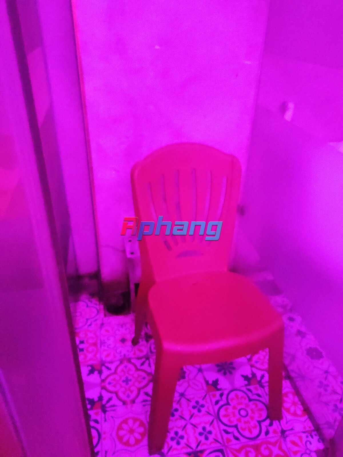 IMG20230717225316.jpg
