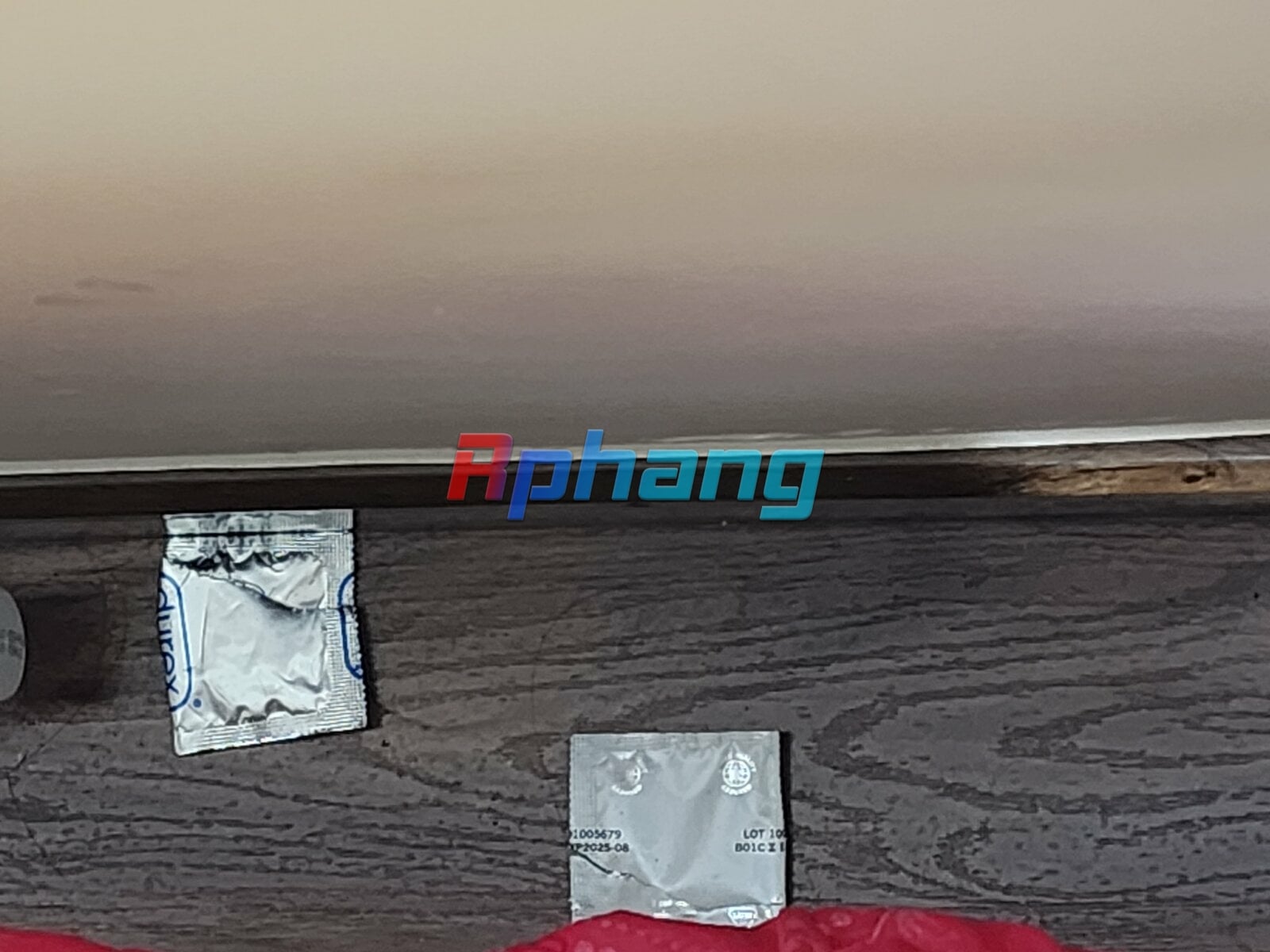 20230720_203749.jpg