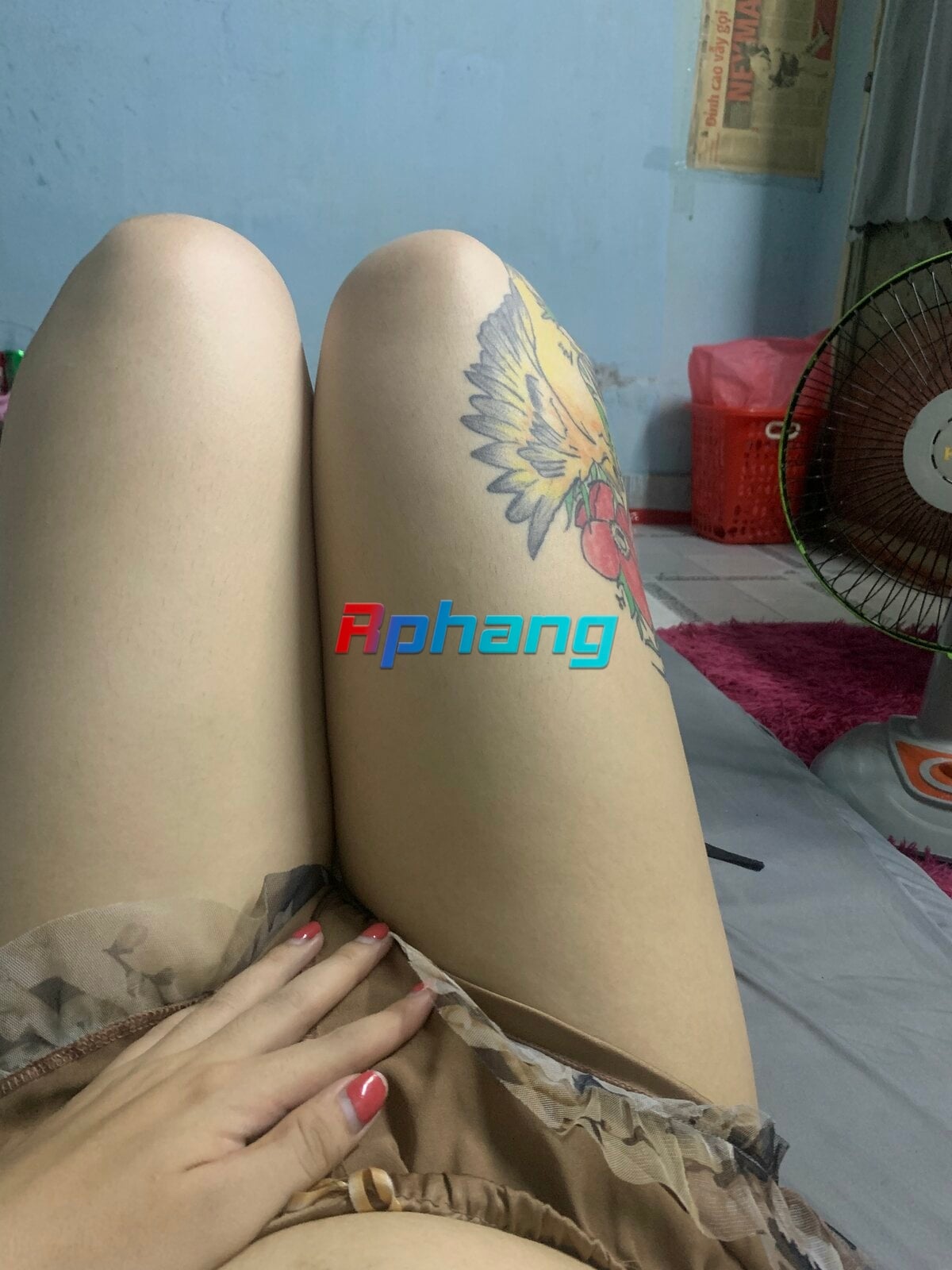 2D79D9D6-E8B1-46B8-A6AB-E03A915C01F3.jpeg