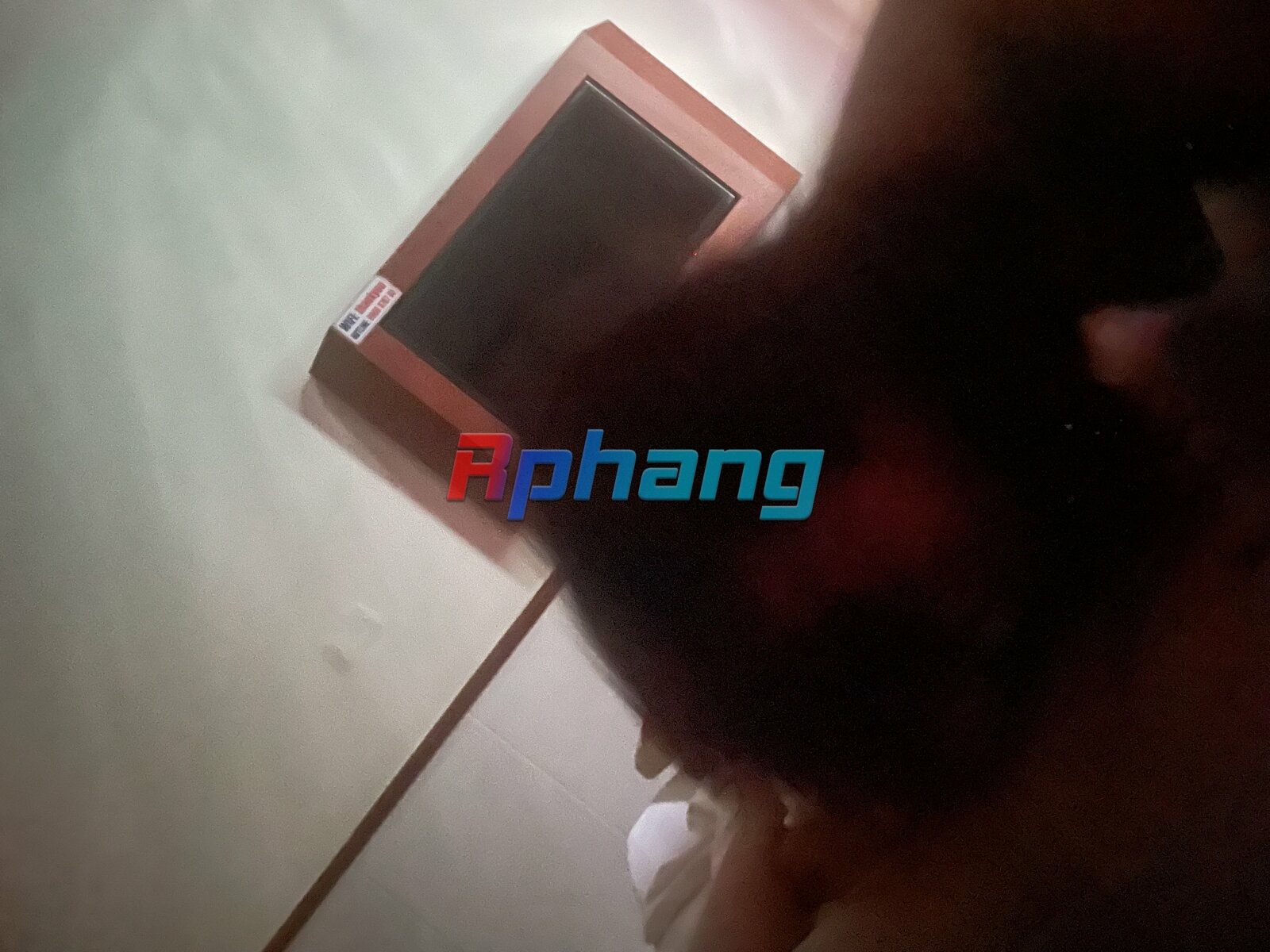 IMG_6366.jpeg