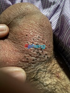IMG_8143.jpeg