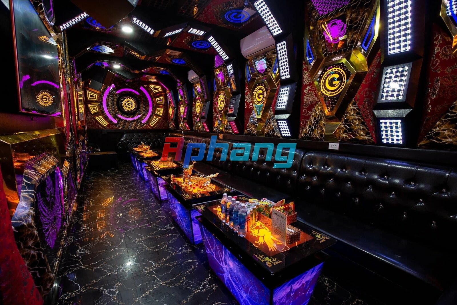 IMG_2921.jpeg
