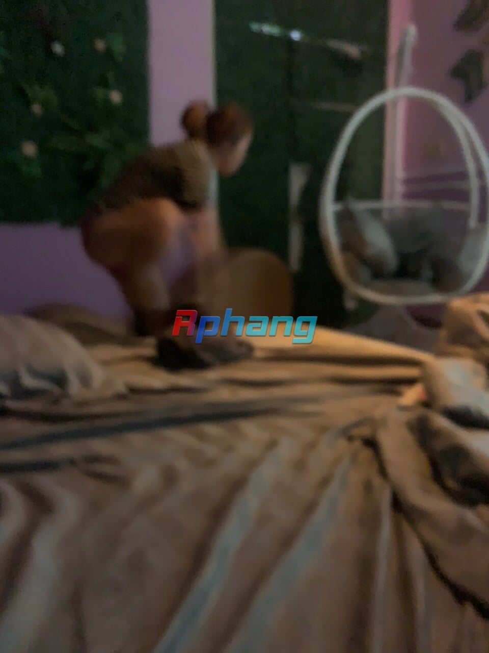 IMG_0391.jpeg