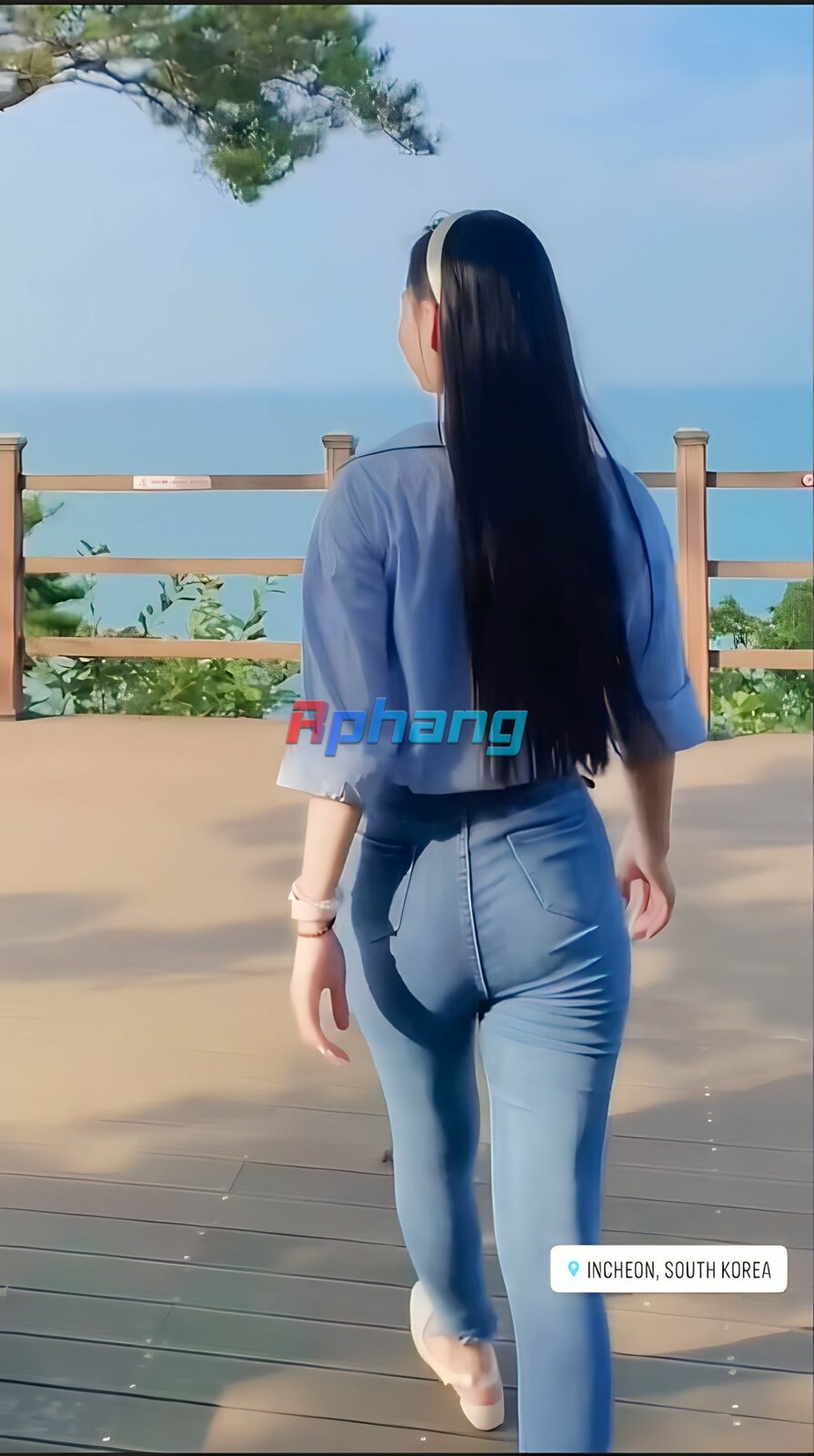 1692117341431.jpg