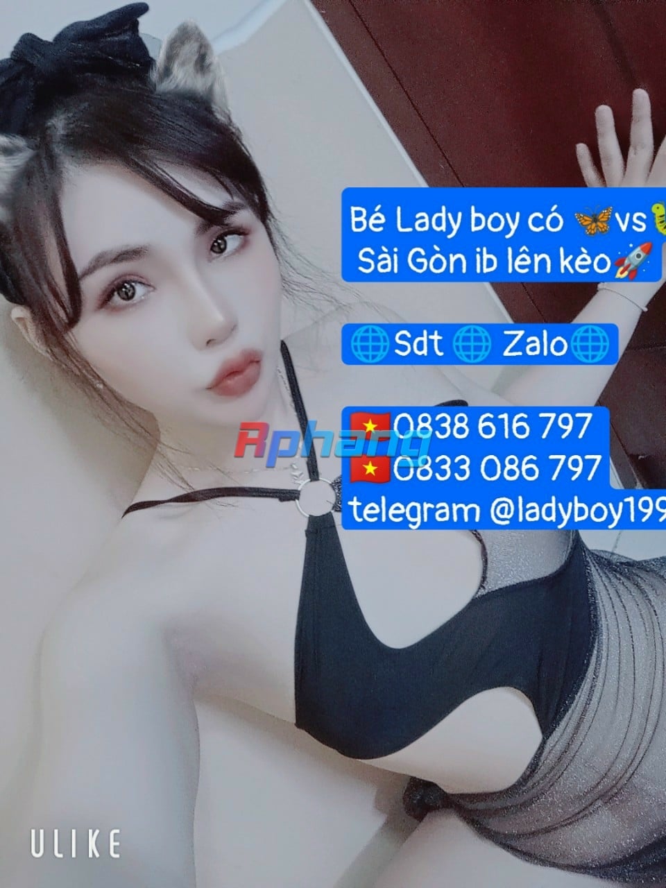 1000023778.jpg