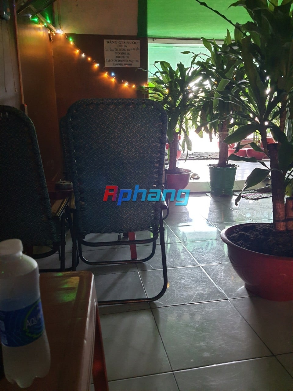 IMG_20230904_153954.jpg