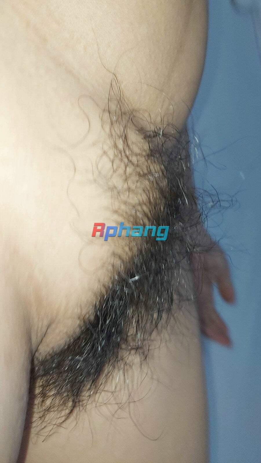 05.jpg