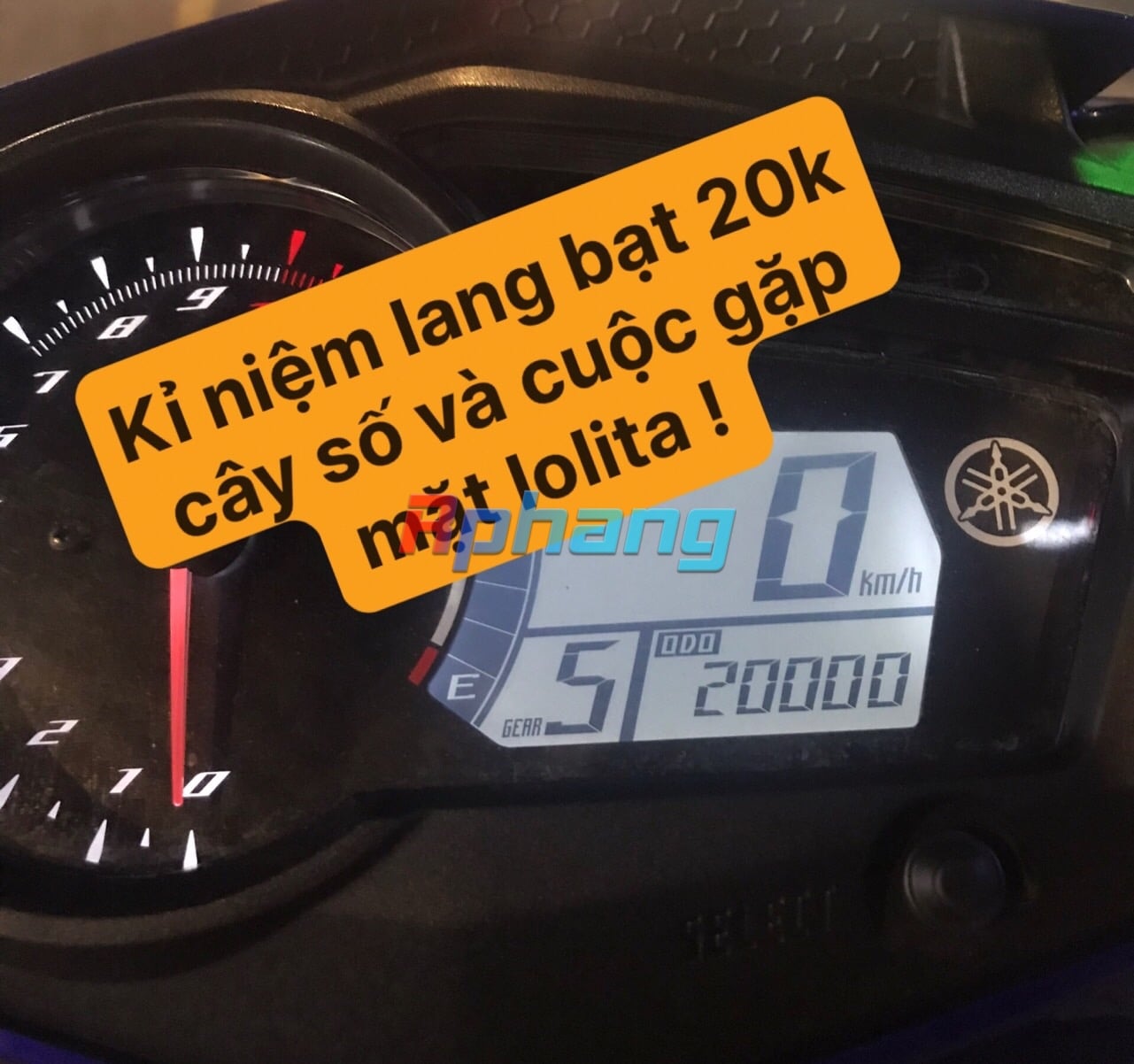 AC7325B8-7DBA-4DF4-803C-1B61FD522E1E.jpeg