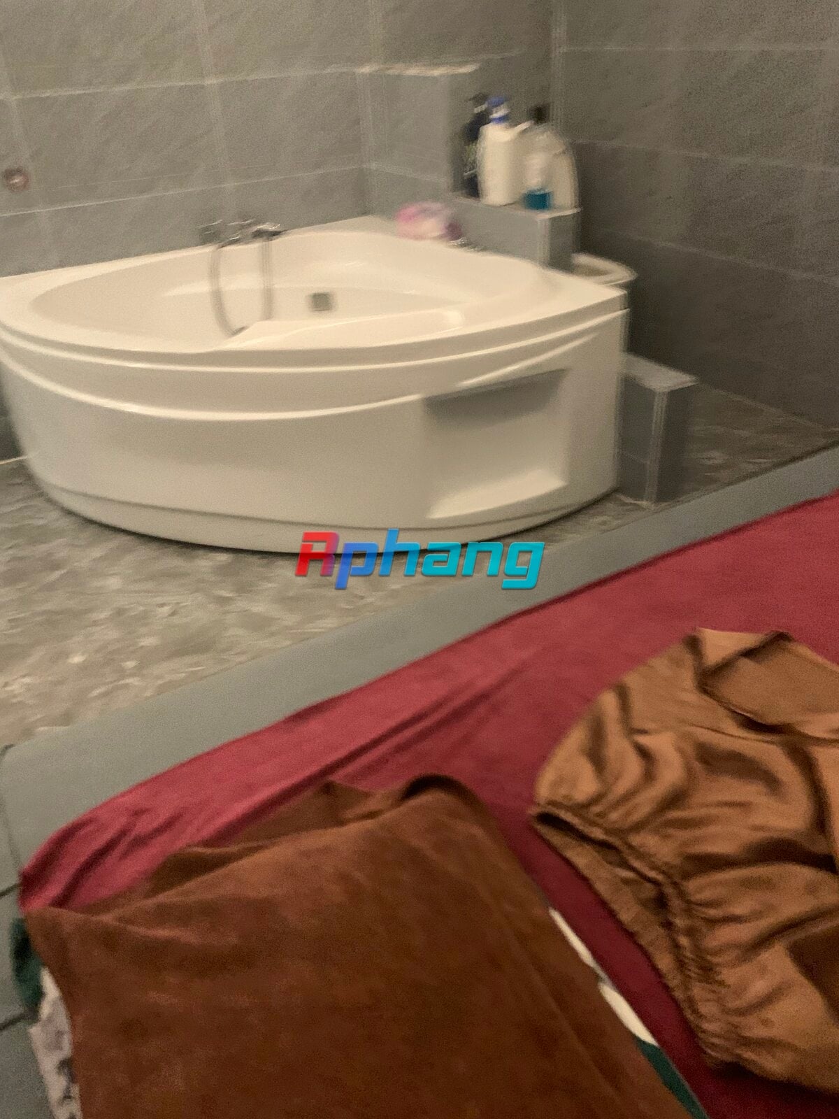 IMG_2451.jpeg