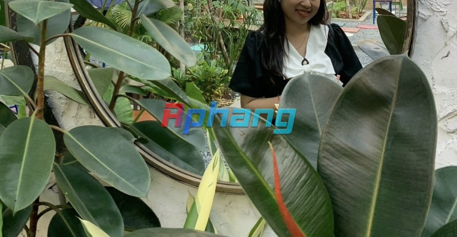 IMG_3804.jpeg