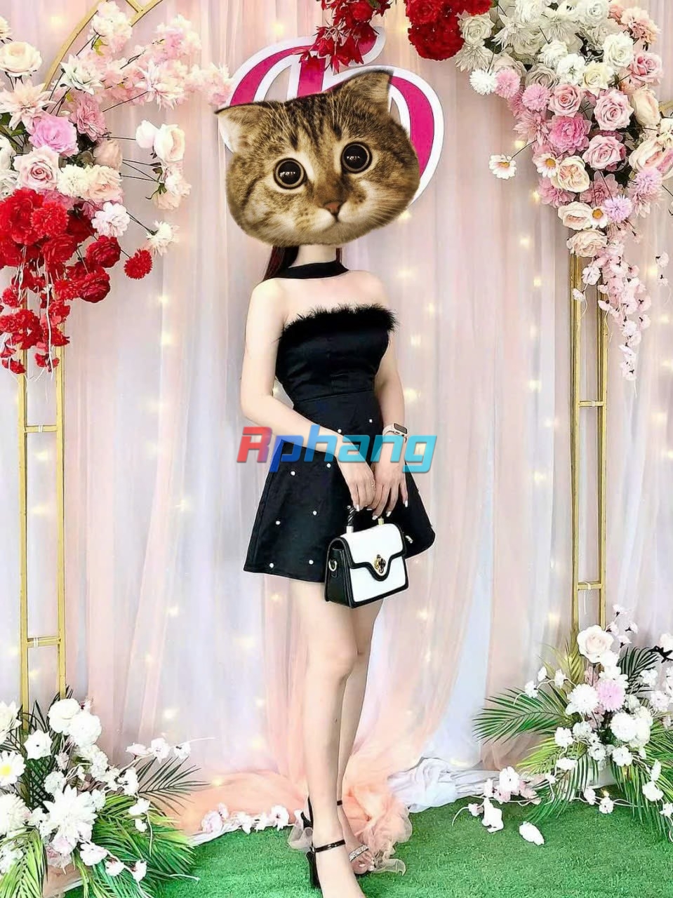 z4819667229539_2e2315cfefda94afa121cc91d670e869.jpg