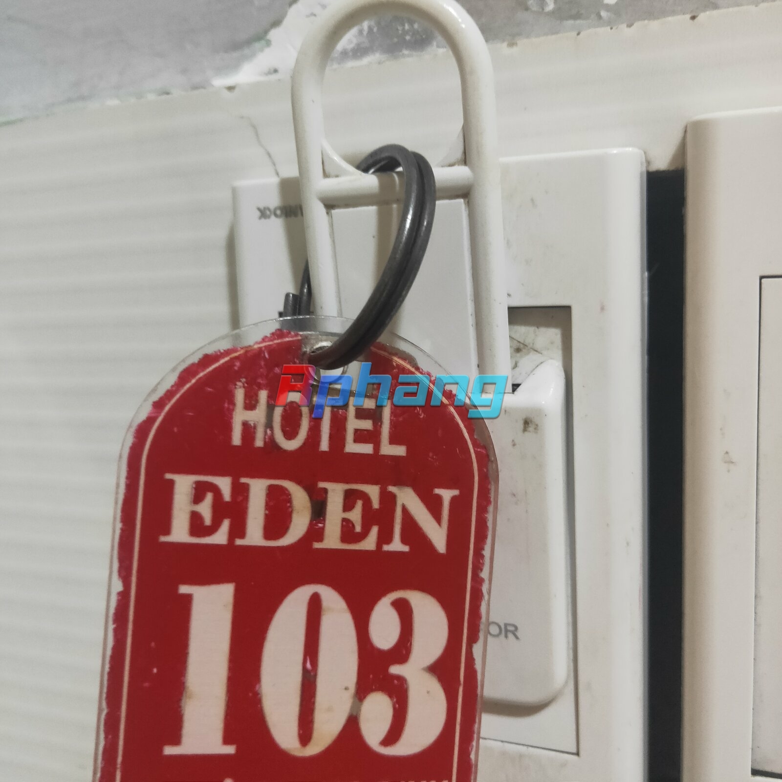 IMG20231027140918.jpg