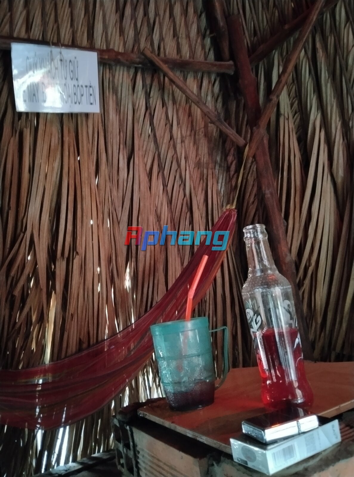 IMG_20231108_141646.jpg