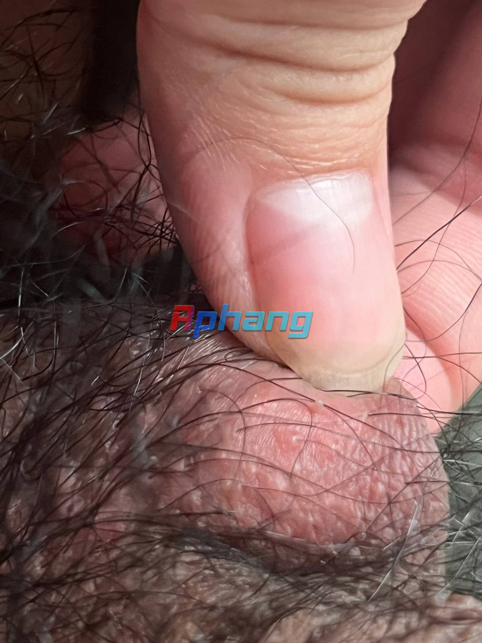 1699608309293.png