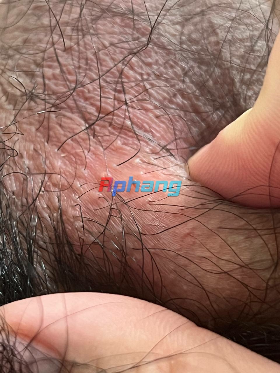 1699608550769.jpeg