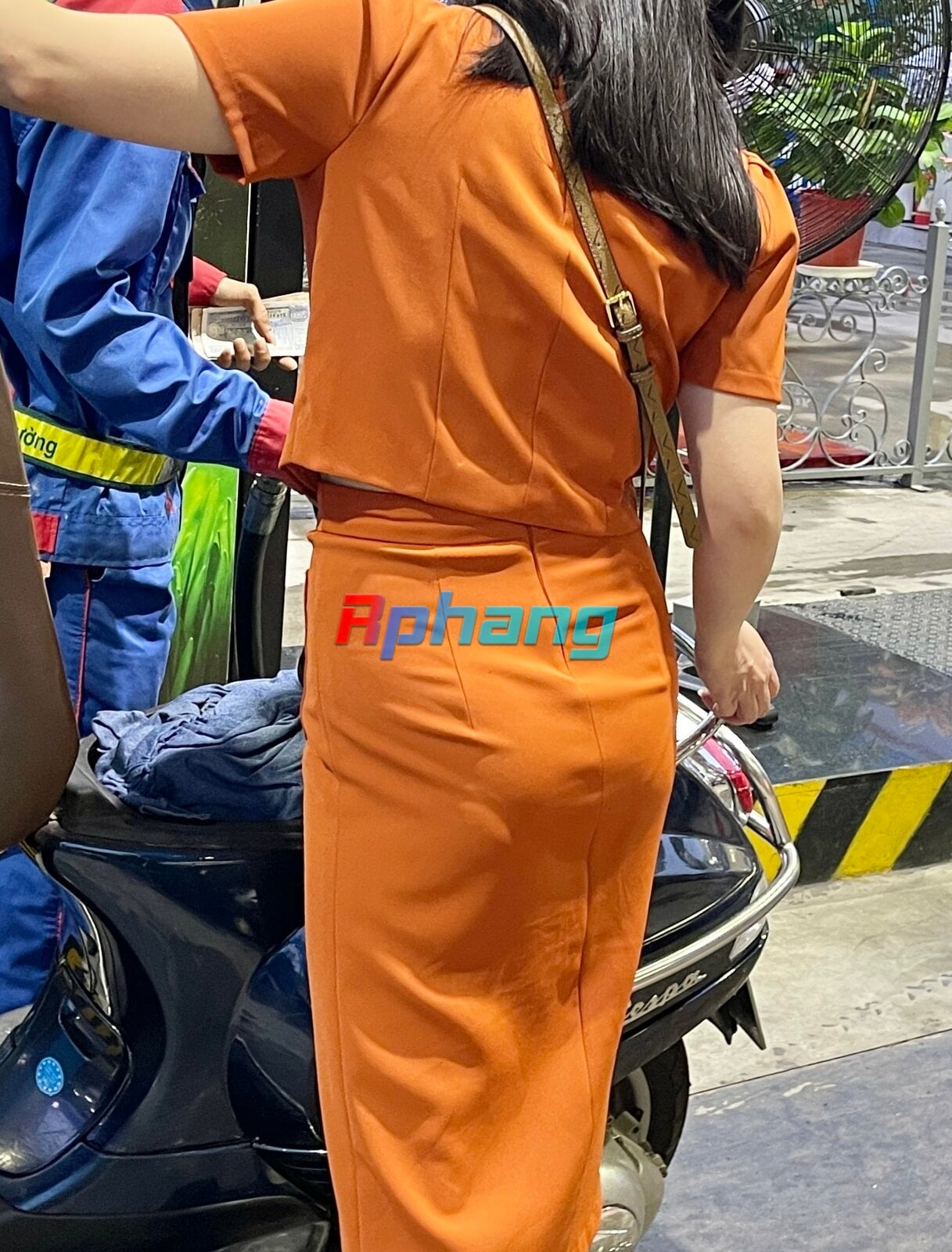 53314041293_dd3e84f460_o.jpg