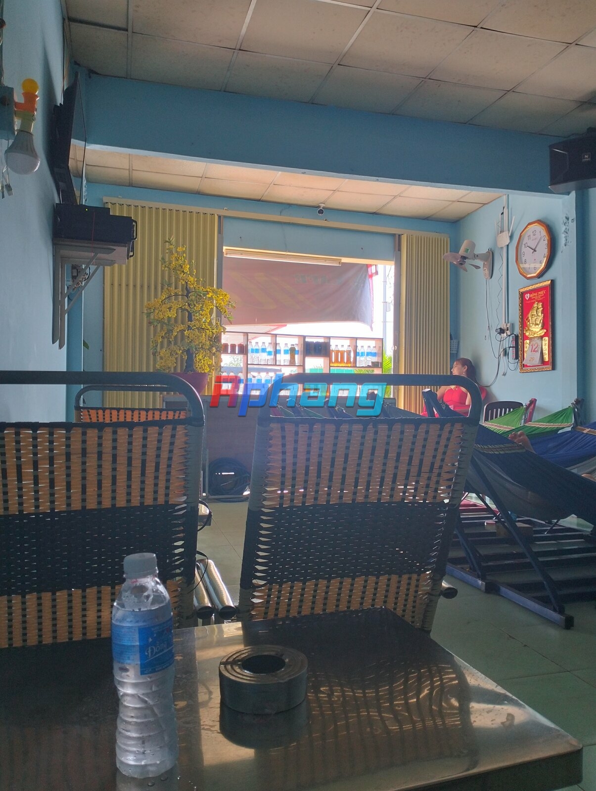 IMG20231113100739.jpg