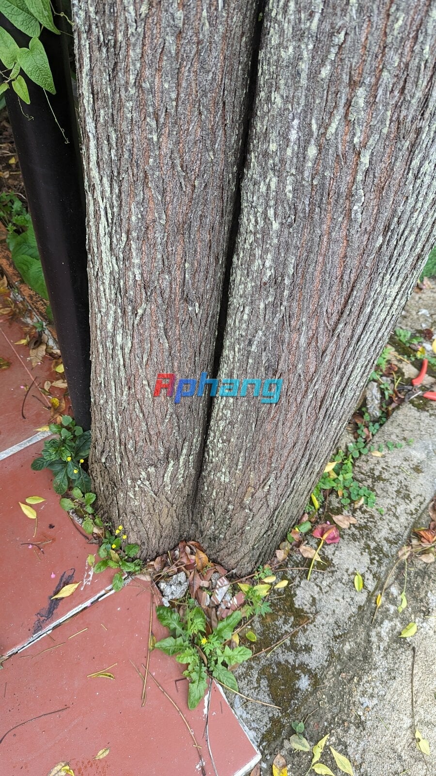 PXL_20231203_043205192.jpg