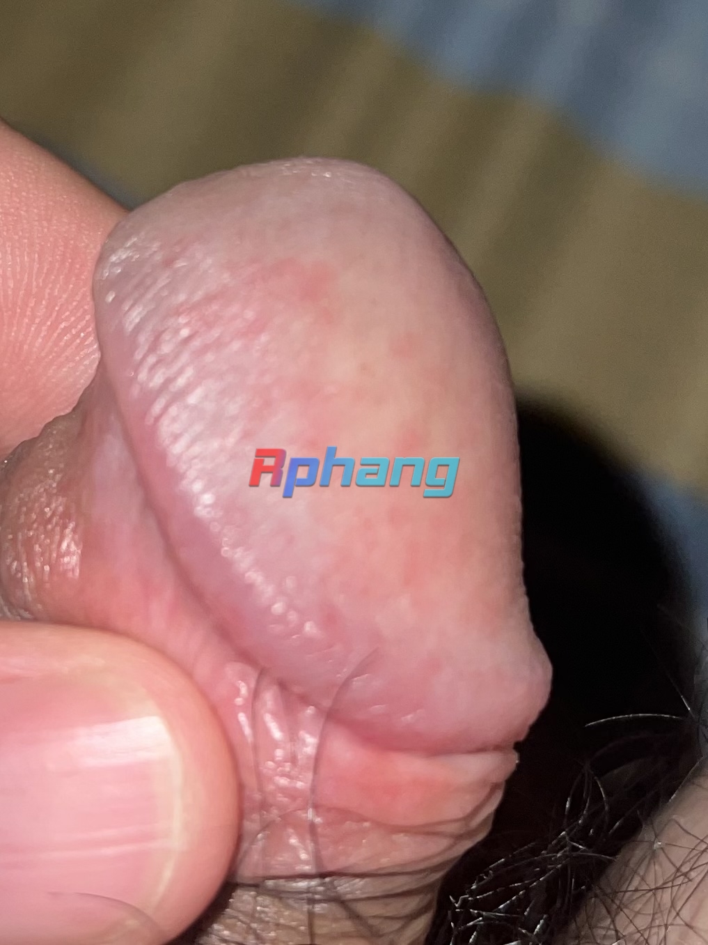 3D2E277A-44EC-4092-A634-7340CB027932.jpeg