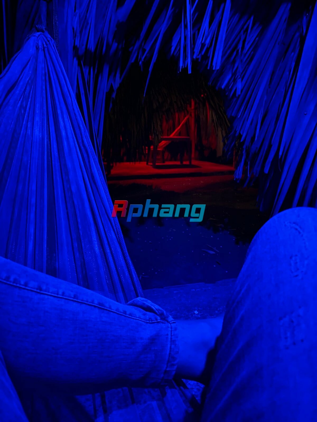 IMG_3811.jpeg