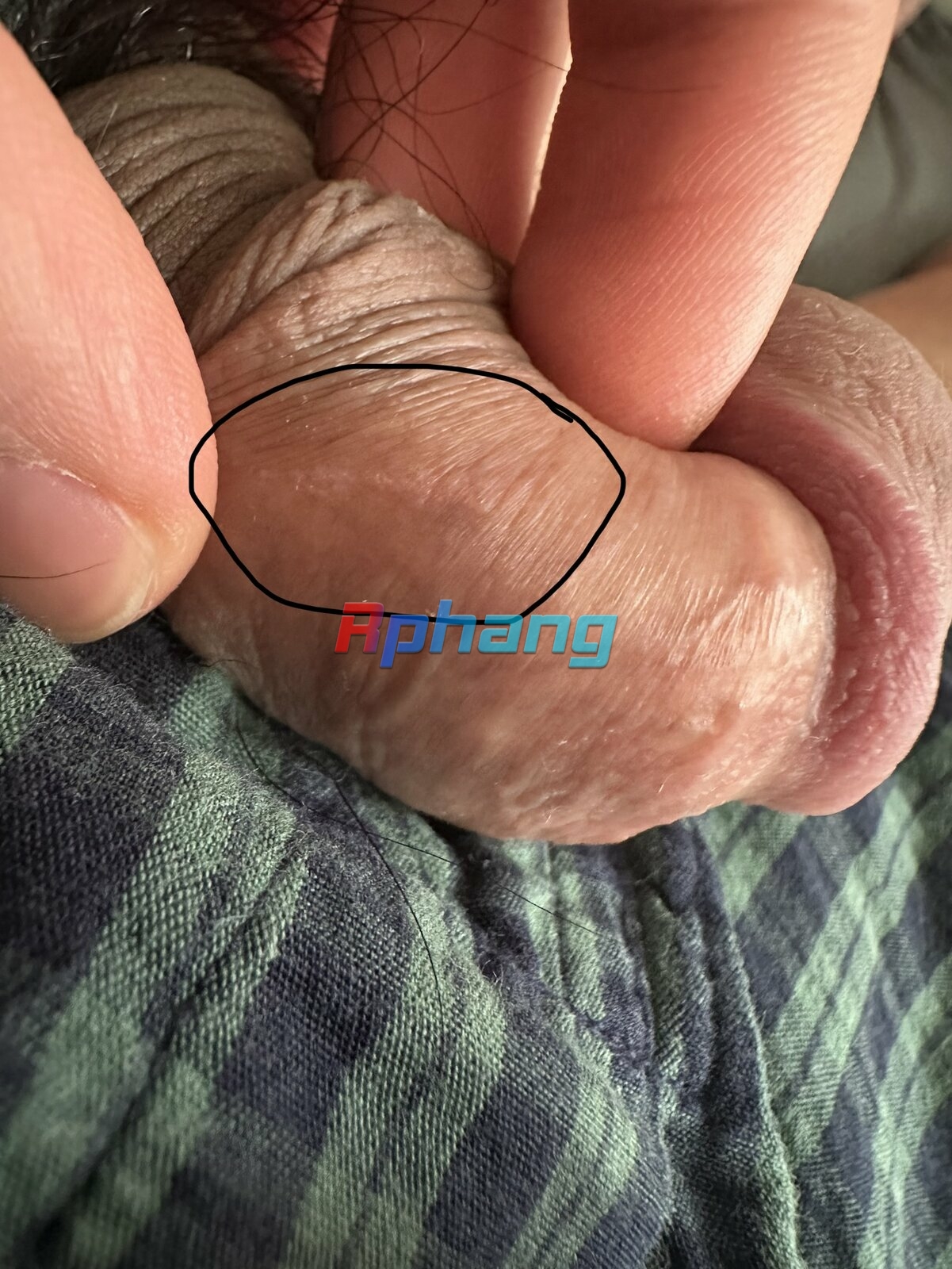 FA1C4AF4-63AB-4737-B089-D83BC04AA22C.jpeg