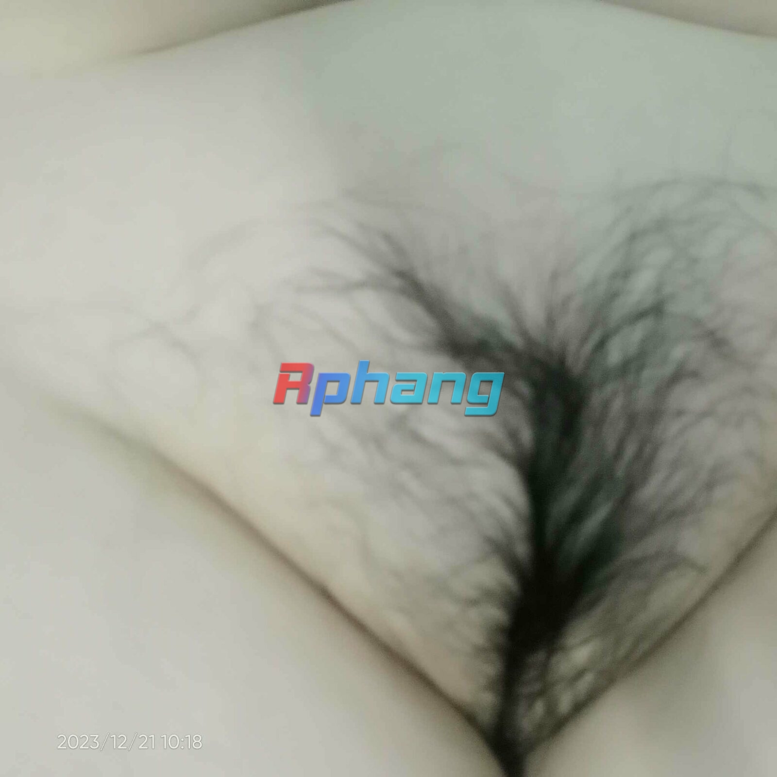 received_911538067250550.jpeg