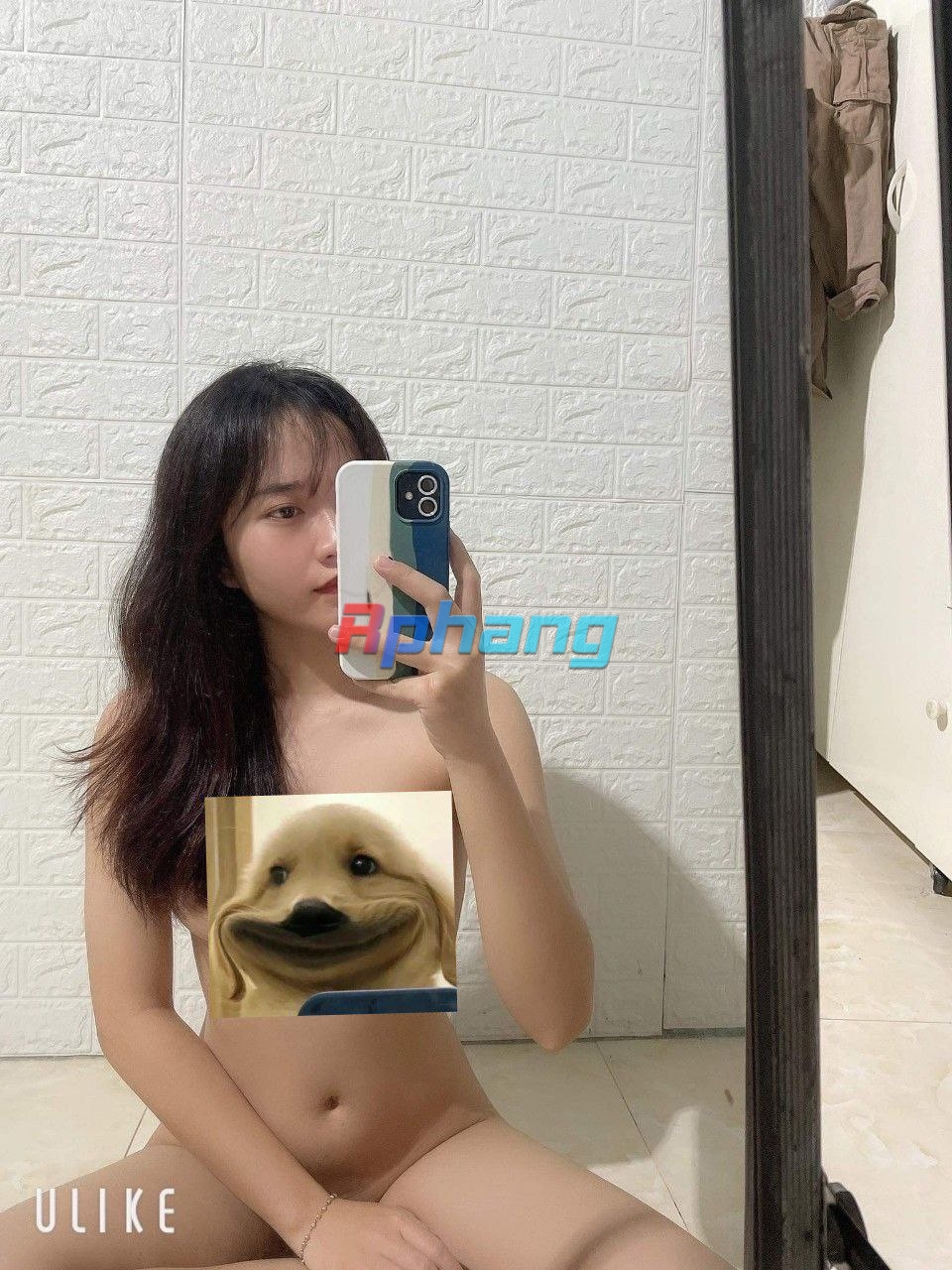 4966735153c3fb9da2d24.jpg