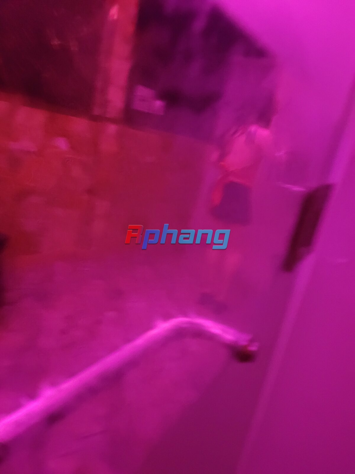 20240125_132208.jpg
