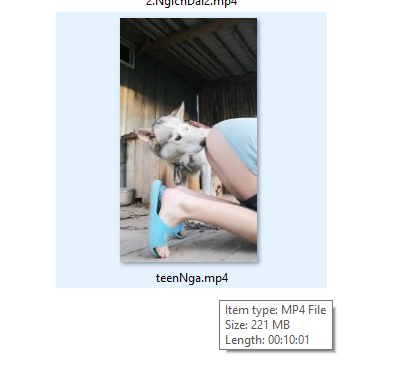 teenNgachoicho.png