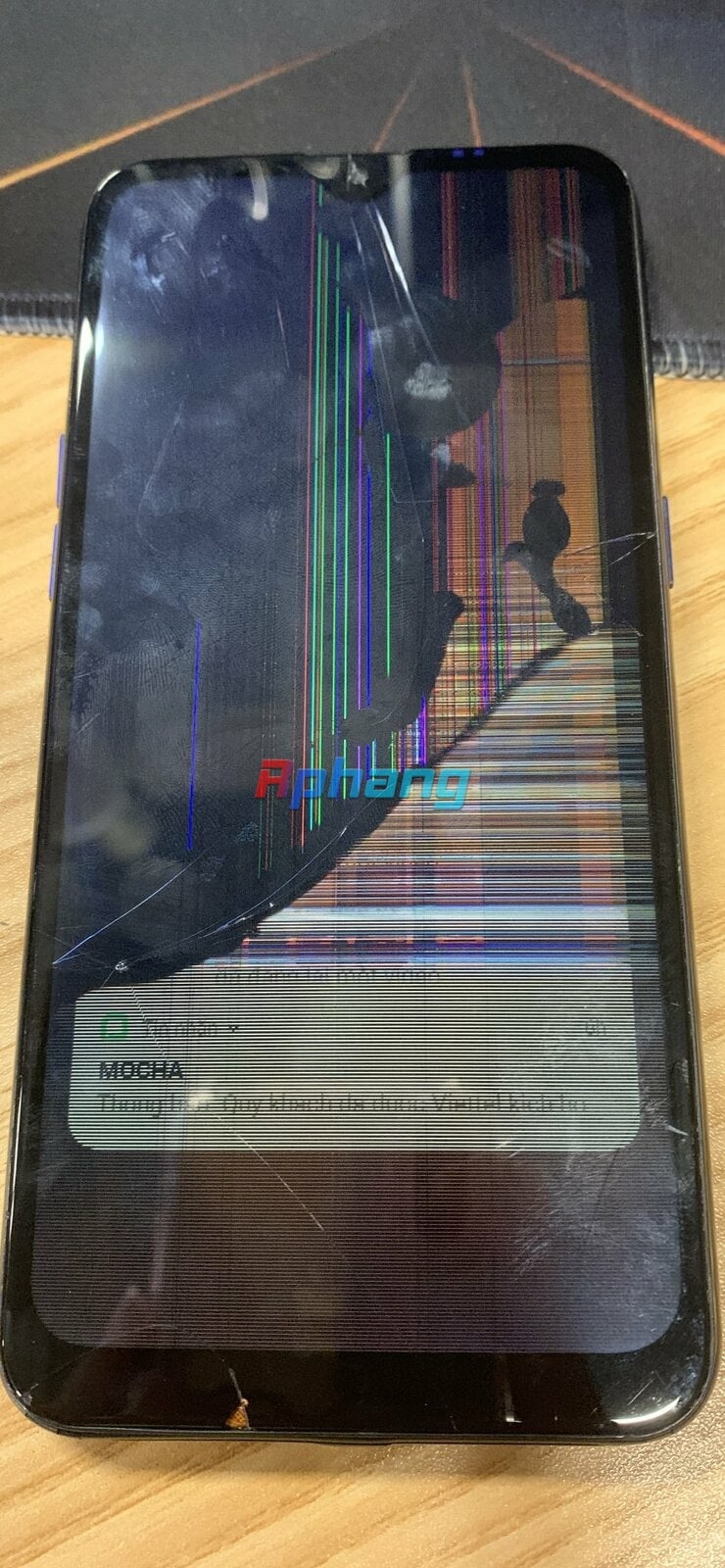 88C33EE7-142E-4FA9-98FC-57FA74E8FA44.jpeg