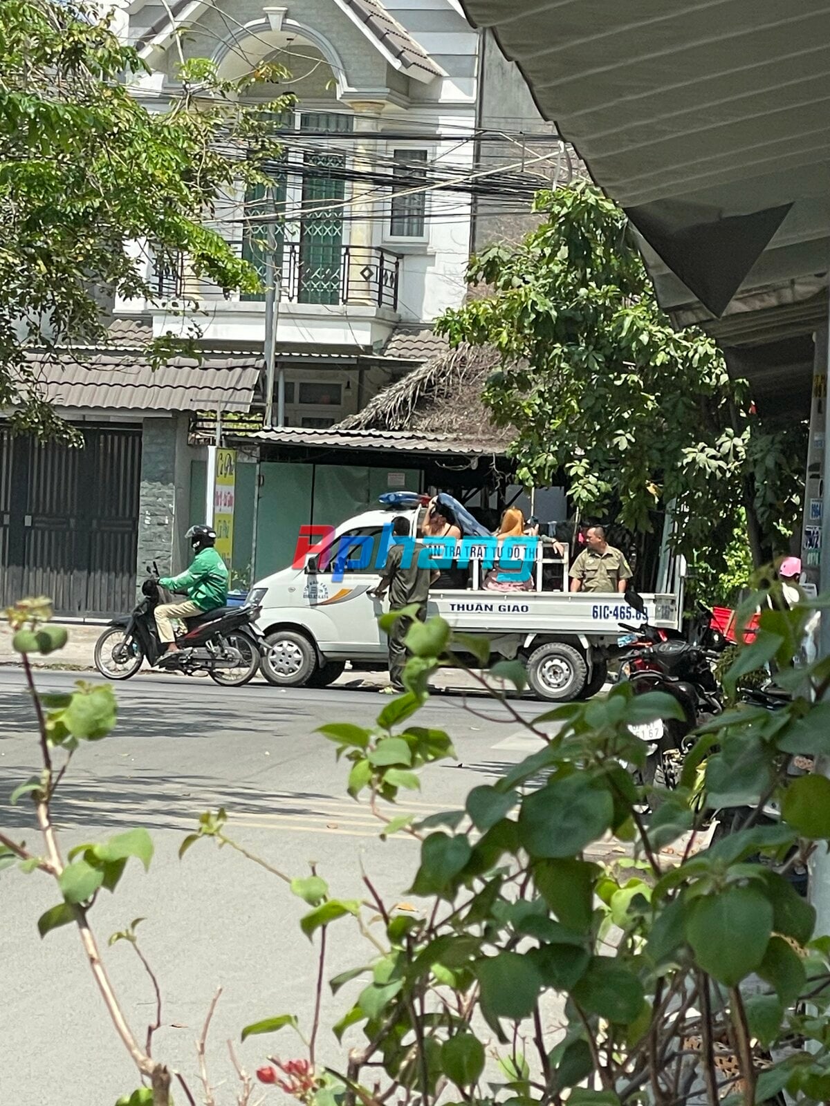 IMG_0215.jpeg